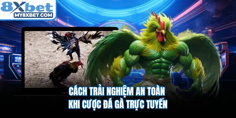 Cách trải nghiệm an toàn khi cược đá gà trực tuyến