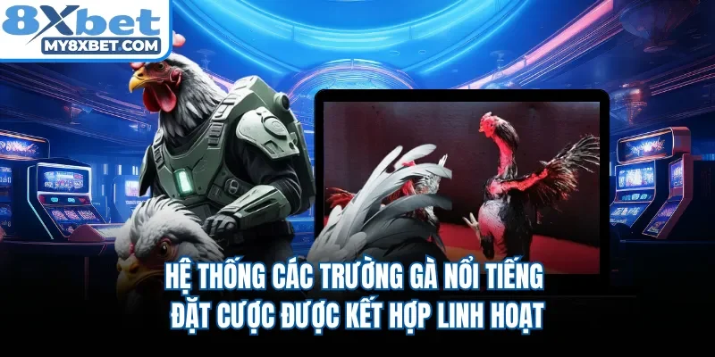 Hệ thống các trường gà nổi tiếng đặt cược được kết hợp linh hoạt