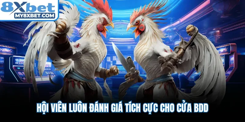 Hội viên luôn đánh giá tích cực cho cửa BDD