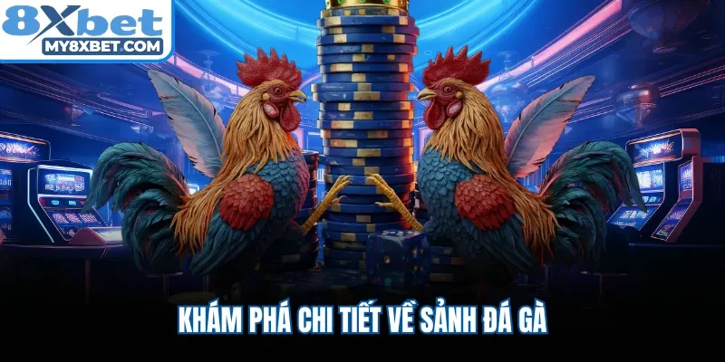 Khám phá chi tiết về sảnh đá gà 