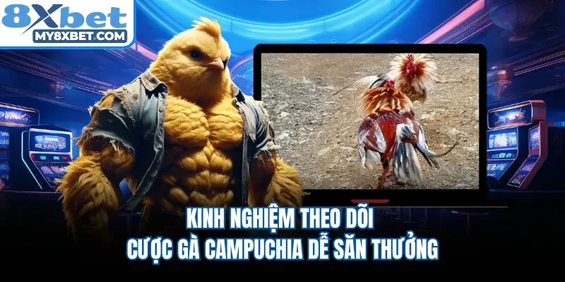 Kinh nghiệm theo dõi cược gà Campuchia dễ săn thưởng