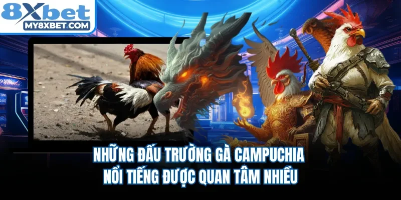 Những đấu trường gà Campuchia nổi tiếng được quan tâm nhiều