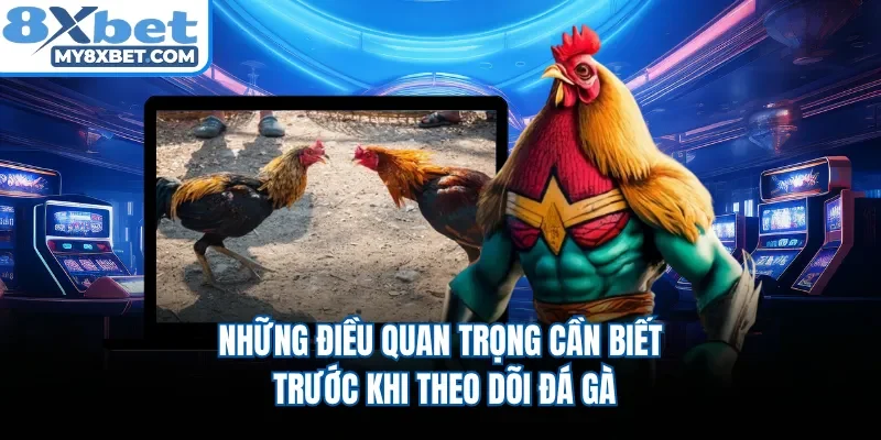 Những điều quan trọng cần biết trước khi theo dõi đá gà