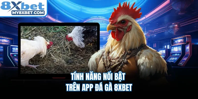 Tính năng nổi bật trên app đá gà 8XBET 