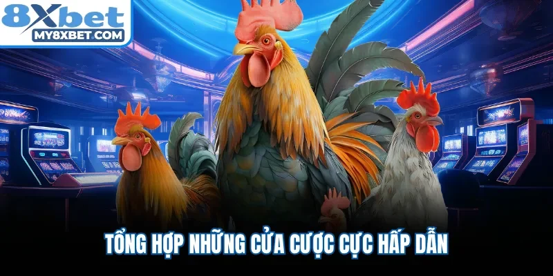 Tổng hợp những cửa cược cực hấp dẫn