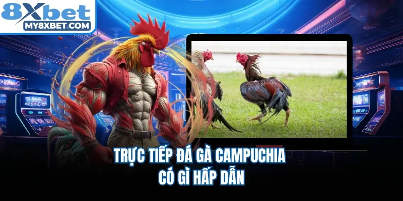 Trực tiếp đá gà Campuchia có gì hấp dẫn 
